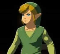 Adult Toon Link