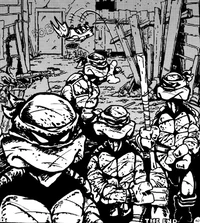Tmnt 1984