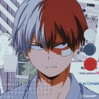 Shoto Todoroki 