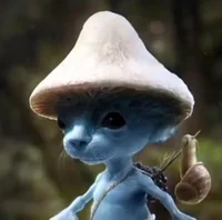 Smurf Cat