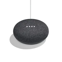 google home
