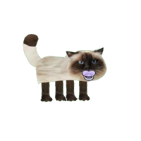 HUSSY CAT The KittyG