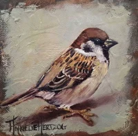 Sparrow