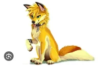 Kaminari dog