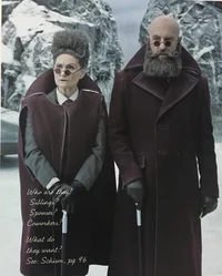 The Sinister Duo