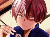 Shoto Todoroki