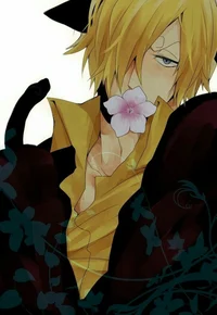 Sanji neko