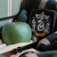 Slytherin House