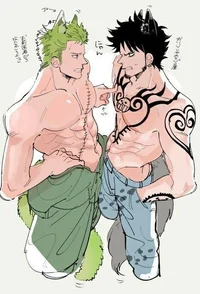 Zoro e law 