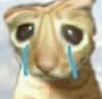 Sad cat