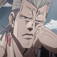 Polnareff - BR
