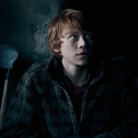 ron weasley 