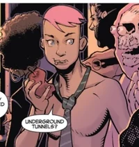 Quentin Quire