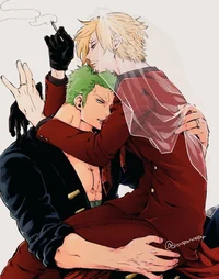 Sanji e zoro pais 