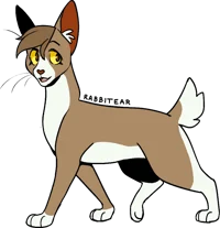 Rabbitear 