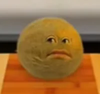 Cantaloupe