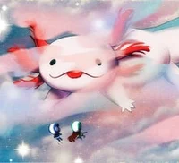Axolotl