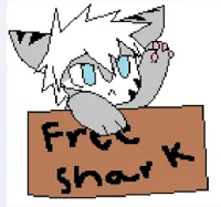 Homeless tiger shark