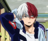 Shoto todoroki