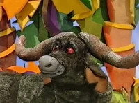 Travis the buffalo 