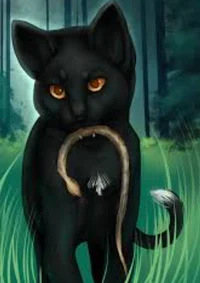 RavenPaw 