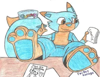 FoxBoyKonogo paws