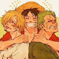 Sanji Luffy Zoro