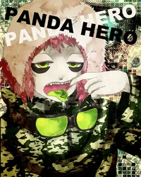 Panda Hero