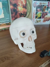Kostya the Skull 