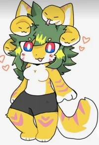 Yellow cat