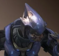 Sangheili Minor v2