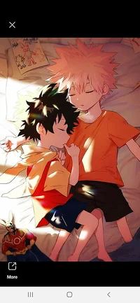 Adopting BakuDeku