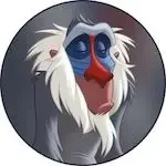 Rafiki 