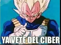 El ciber de Vegeta 