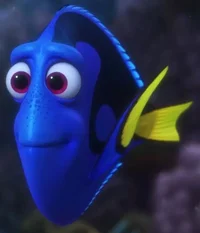Dory 