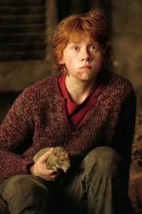 Ron weasley 