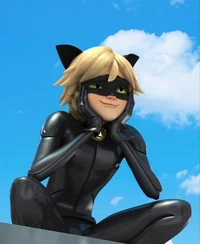 Cat noir