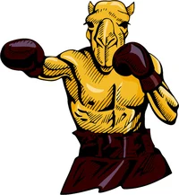 Boxing Camel