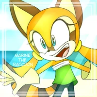Marine the Raccoon