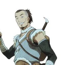 Adult Sokka