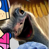 PLIMPTON THE OSTRICH