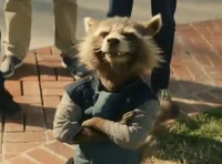 rocket racoon