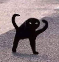 Cursed cat