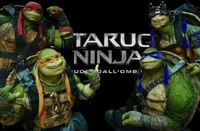 Bayverse tmnt 2016