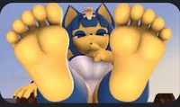 ANKHA paws