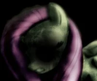 Fluttershy -Monster-