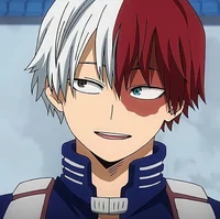 Shoto Todoroki 
