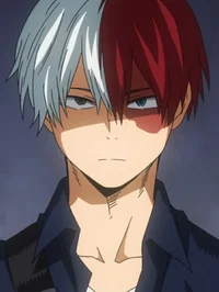 Shoto Todoroki 