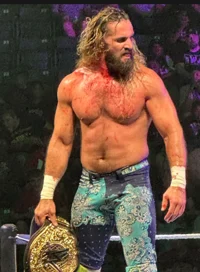 Seth Rollins 