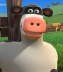 Otis Cow